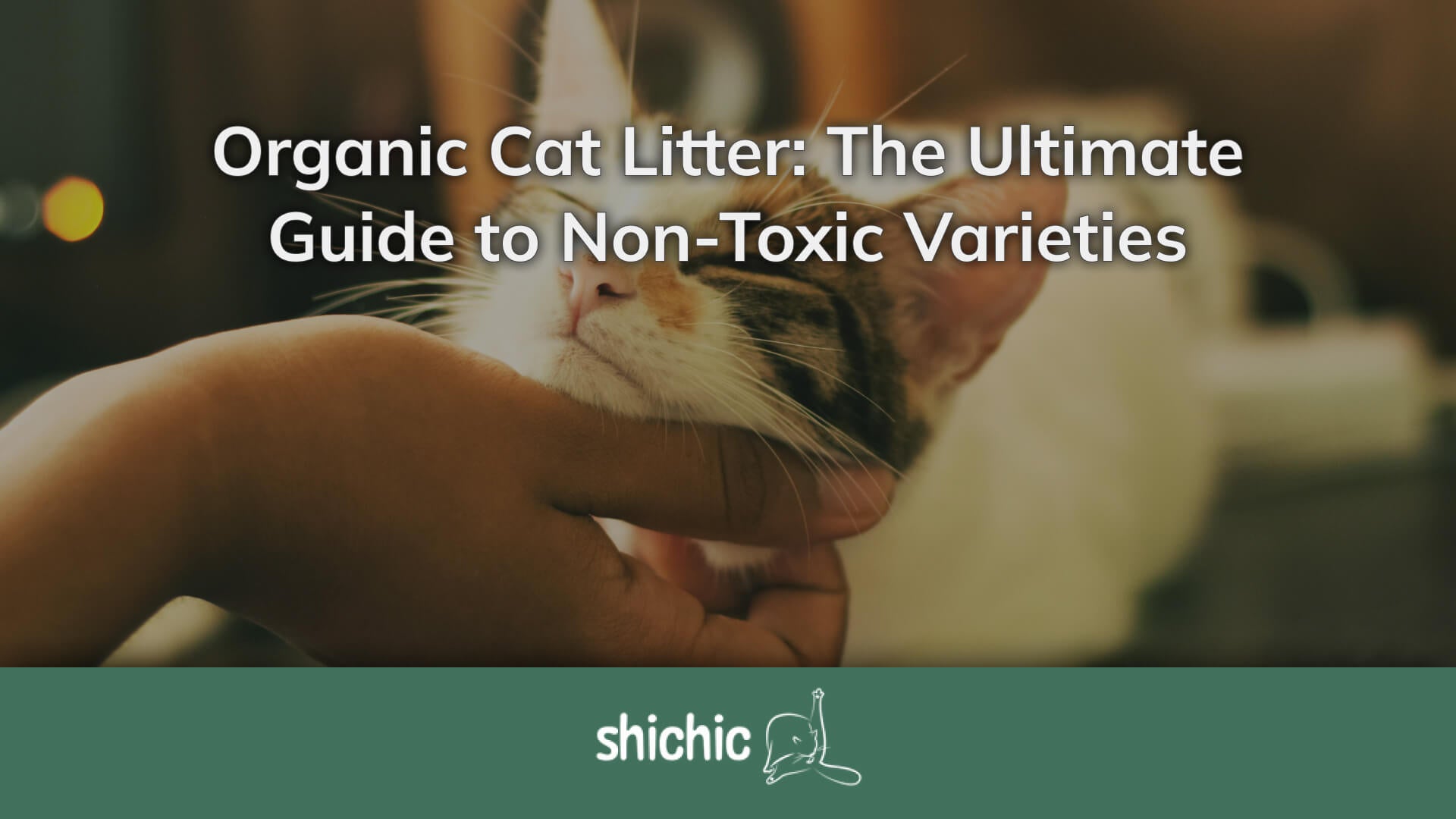 Beautiful view of Odorous Urine Organic Cat Litter
