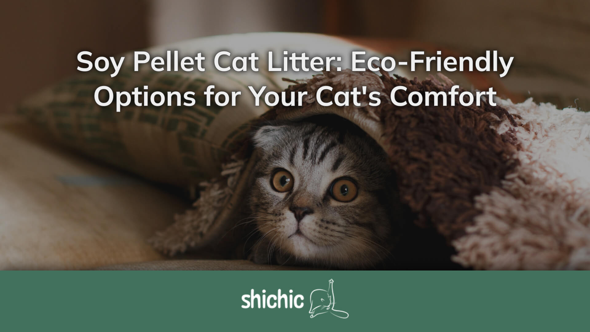 Illustration of Cat Litter Made From Soy And Alfalfa Powder