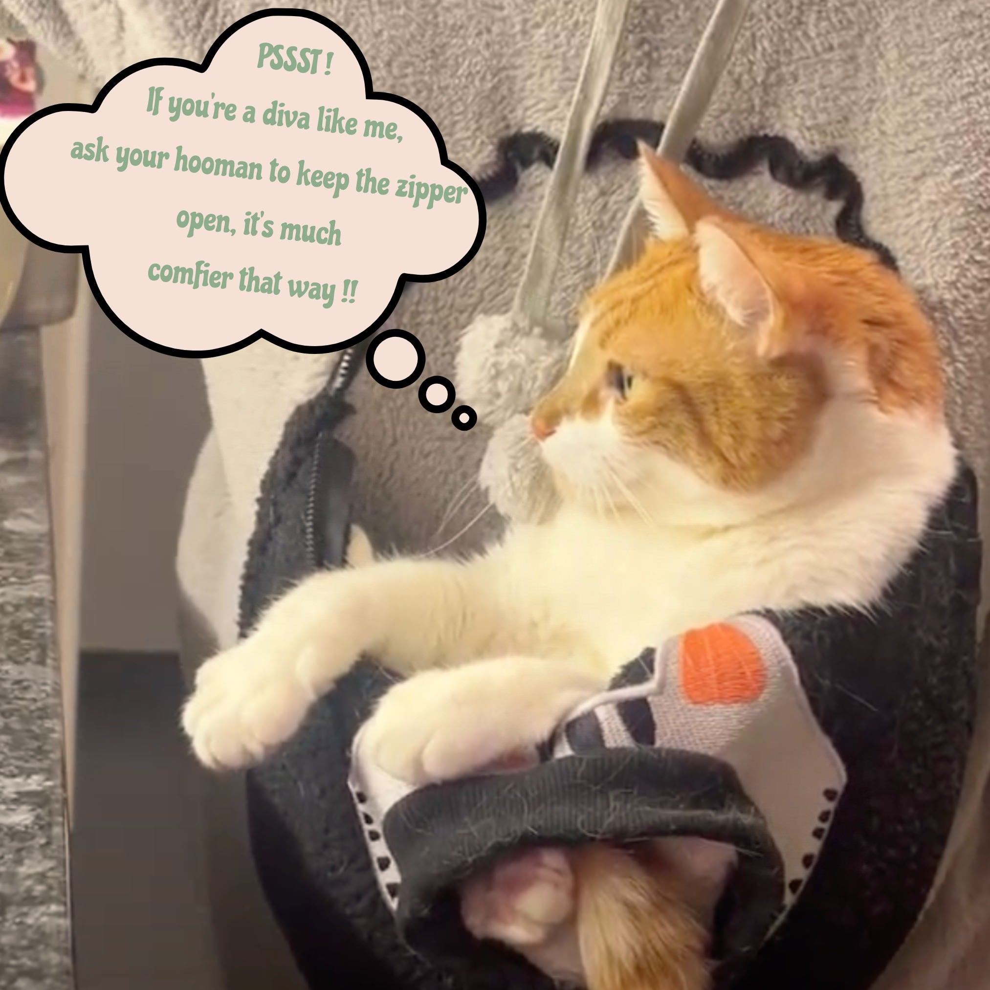 FluffyKitty | Cat hoodie for Cat Lovers