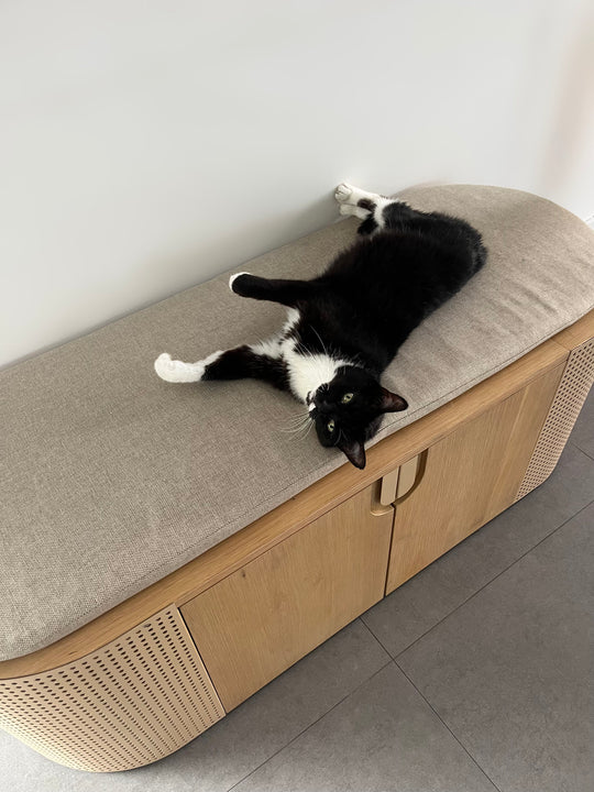 Large litter box enclosure with cat on top