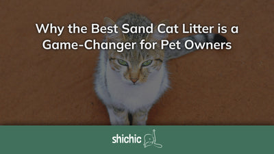 best sand cat litter