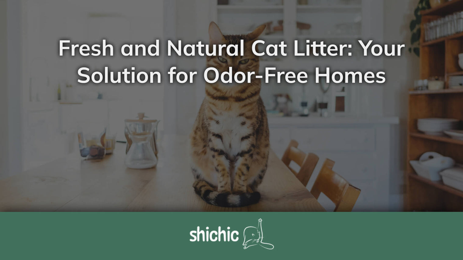 Stunning Natural Fiber Odor Control For Holding Institutions Homes image