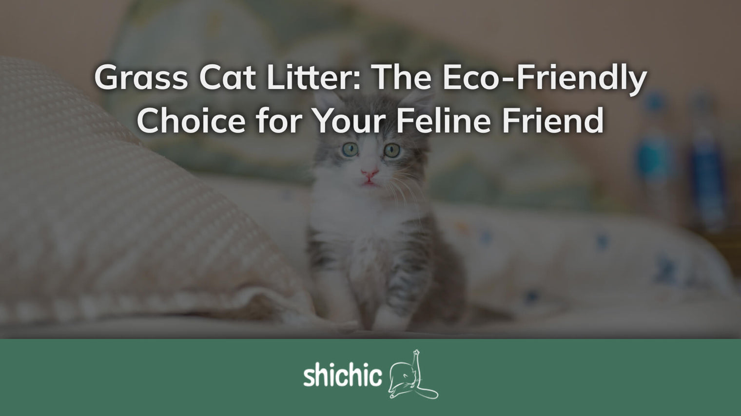 Grass Cat Litter
