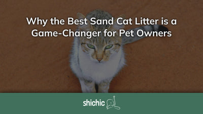 best sand cat litter