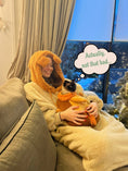 Cargar la imagen en la vista de la galería, FluffyKitty | Comfy hoodie for US Cat Lovers
