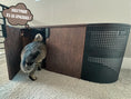 Cargar la imagen en la vista de la galería, (Dark) A curious kitten entering a black cat litter box enclosure, featuring an elegant wood finish and perforated sides for a modern touch
