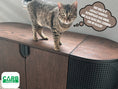 Load image into Gallery viewer, (Dark) A black hidden cat litter box cabinet with a unique design, seamlessly integrating into modern home interiors while offering cats a private space
