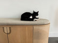 Load image into Gallery viewer, Cushion - Poop Lounge Enclosure

