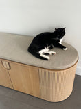 Load image into Gallery viewer, Cushion - Poop Lounge Enclosure
