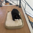 Load image into Gallery viewer, Shichic's designer cat cushion in elegant teal, ideal for adding a touch of luxury to any pet-friendly home
